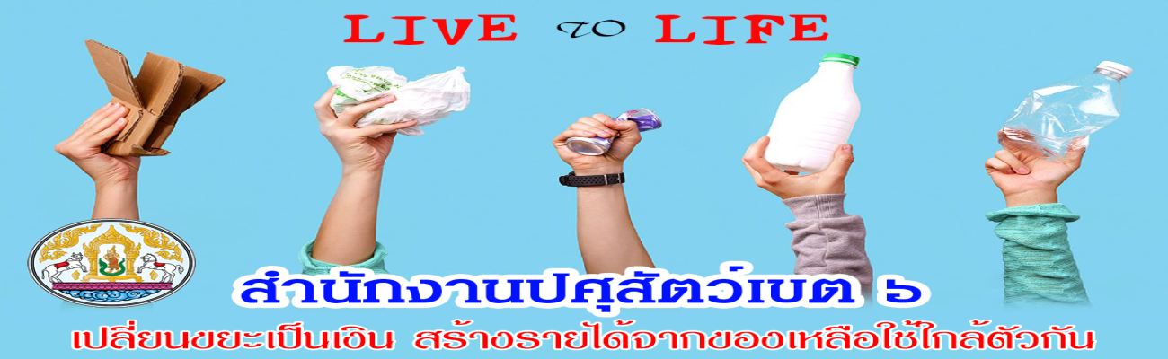 เปลี่ยนขยะเป็นเงิน สร้างรายได้จากของเหลือใช้ใกล้ตัว