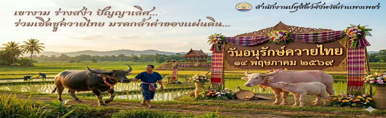 วันอนุรักษ์ควายไทย 14 พฤษภาคม 2569