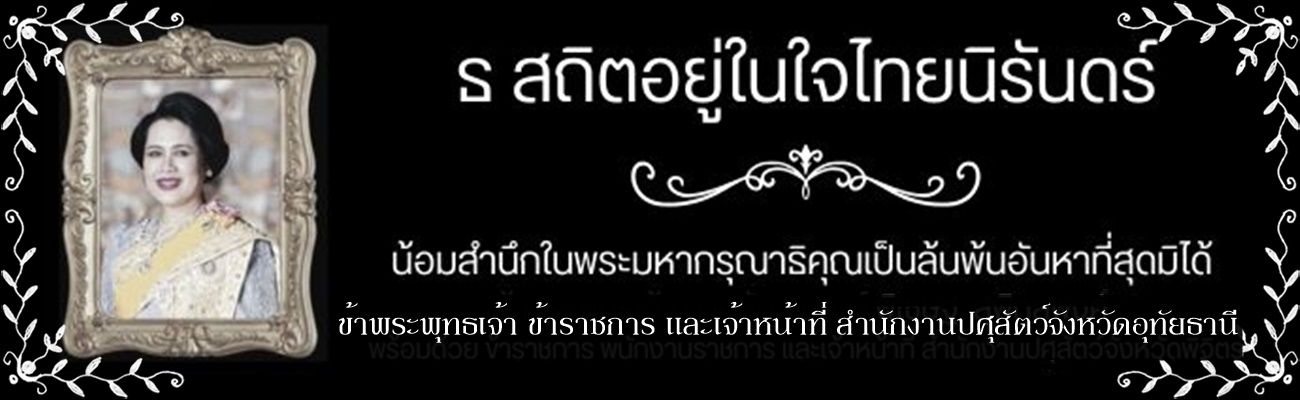 พระบรมราชชนนีพันปีหลวง