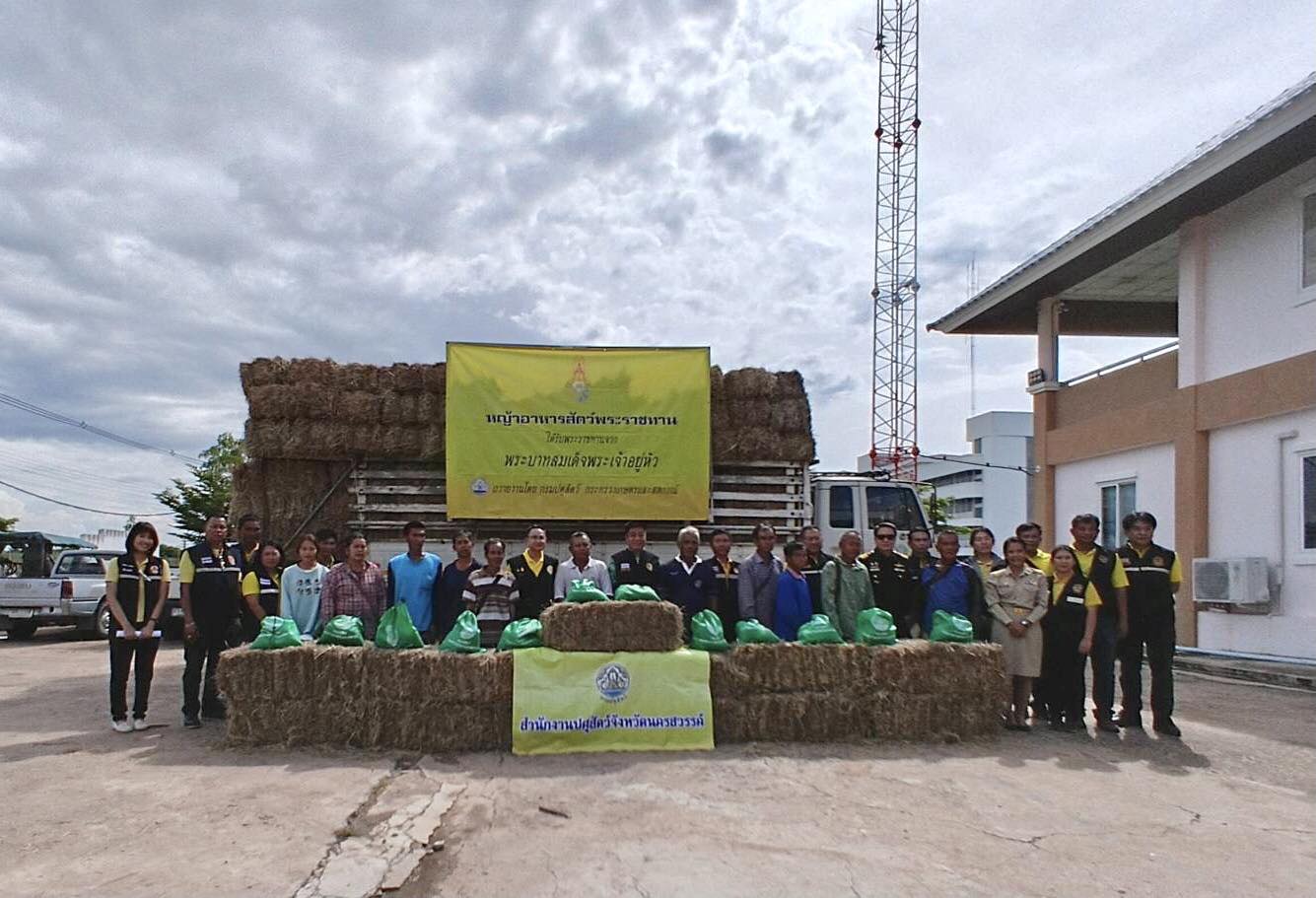 558318243 4179680088952206 3636013586834383547 n