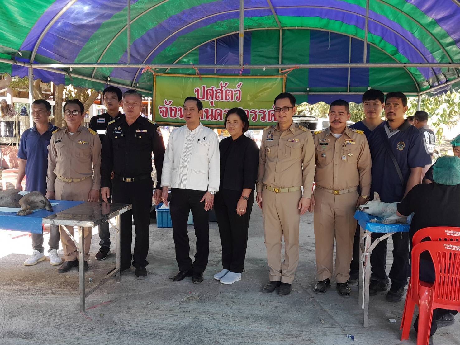 604731103 4251386085114939 2632489483925083711 n