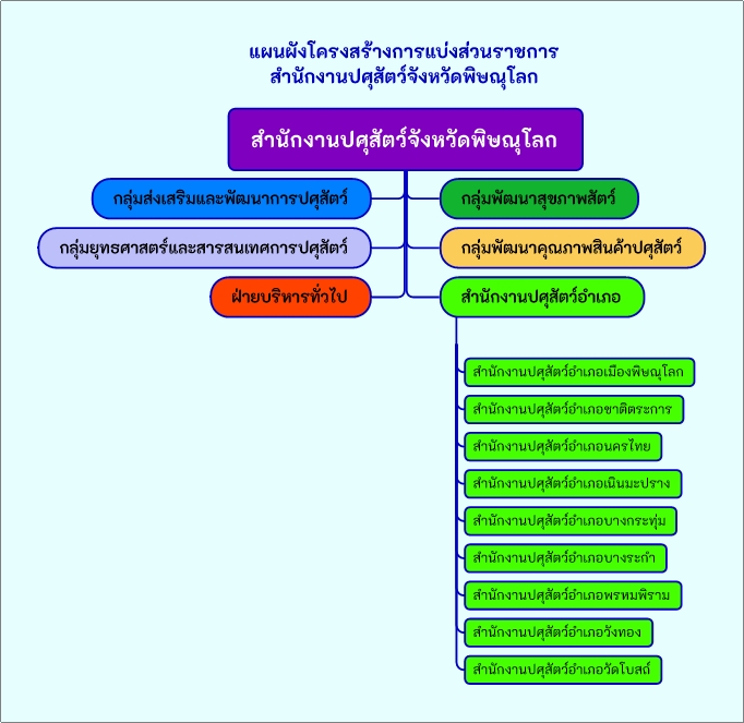 organizational structure