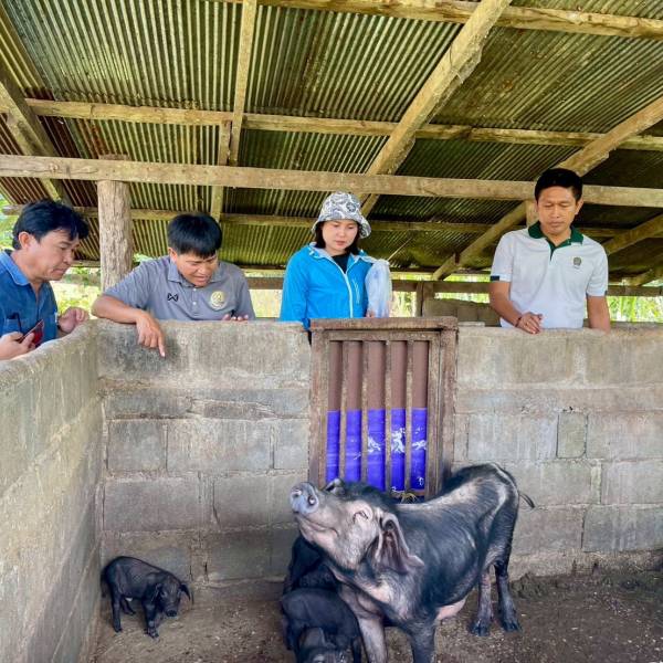 ปศุสัตว์จังหวัดตาก ตรวจติดตาม กิจกรรมการเลี้ยงสัตว์ตามโครงการเกษตรเพื่ออาหารกลางวัน