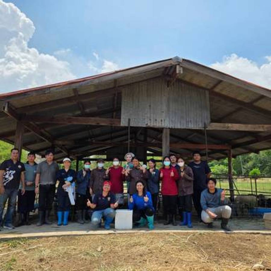ร่วมดำเนินกิจกรรมด้านสุขภาพสัตว์ในฝูงแกะเนื้อตามแผนการปฏิบัติงาน ประจำปีงบประมาณ 2569