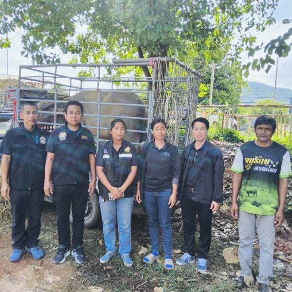 ฝึกการป้องกันและบรรเทาสาธารณะภัยในพื้นที่เสี่ยงภัย อุทกภัยอำเภอบ้านไร่ จังหวัดอุทัยธานี ประจำปีงบประมาณ พ.ศ. 2569