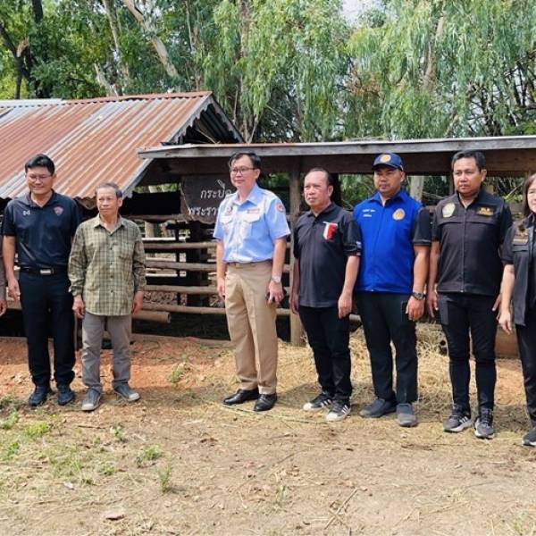 โครงการอนุรักษ์และพัฒนากระบือไทย ประจำปี 2569
