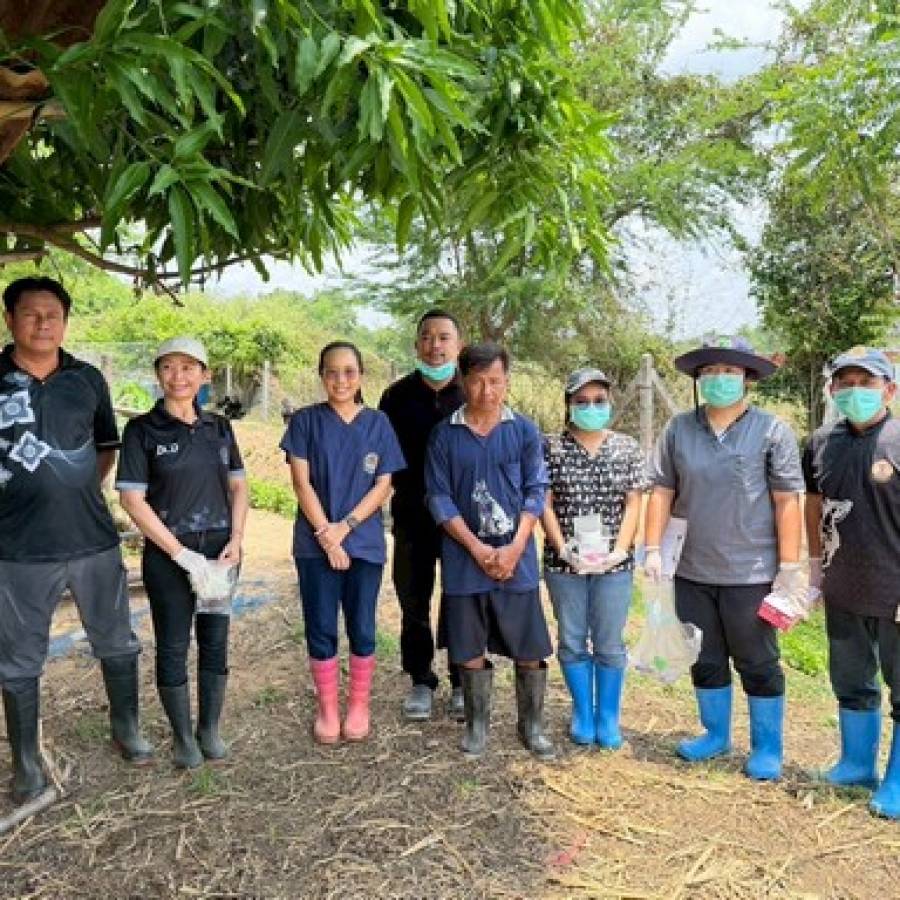 ตรวจติดตามสุขภาพแพะพระราชทาน อ.กงไกรลาศ จ.สุโขทัย