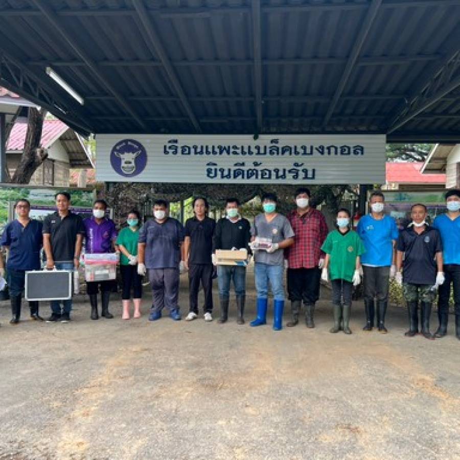 ฉีดวัคซีนป้องกันโรคปากและเท้าเปื่อย และตรวจสุขภาพแพะ โครงการผลิตแพะพระราชทานฯ จังหวัดพิษณุโลก