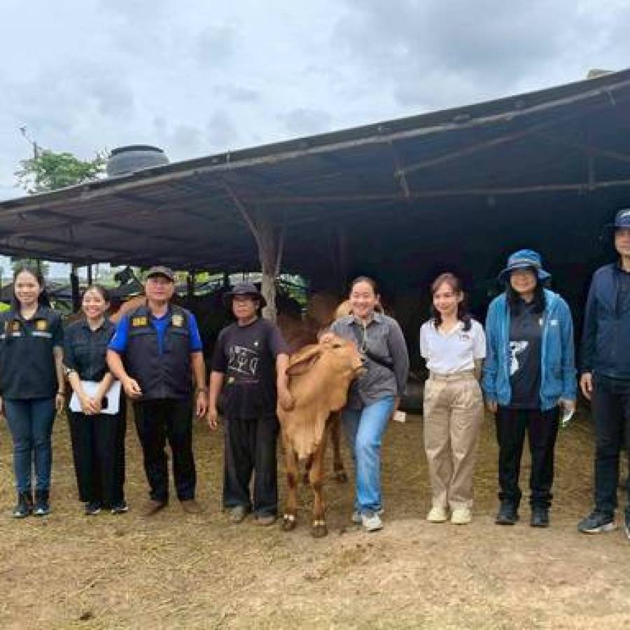 คณะกรรมการคัดเลือกโครงการ/กิจกรรมดีเด่น​ ระดับเขต​ 6​ ประจำปี​งบประมาณ 2569​ ​และ​ 2570
