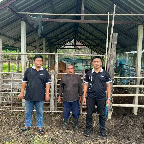 โครงการธนาคารโค-กระบือ  เพื่อเกษตรกร  ตามพระราชดำริ ในพื้นที่อำเภอแม่ระมาด จังหวัดตาก