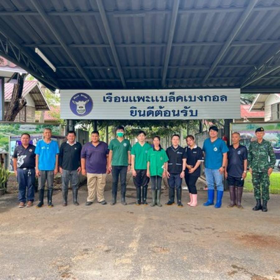 สำนักงานปศุสัตว์เขต 6 ดำเนินการถ่ายพยาธิและตรวจสุขภาพแพะ โครงการผลิตแพะพระราชทาน  เพื่อนช่วยเพื่อน  พื้นที่ภาคเหนือ รอบที่ 3/2569