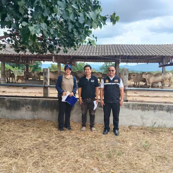ปศุสัตว์ตาก ลงพื้นที่เข้าตรวจประเมิน การปฏิบัติทางการเกษตรที่ดีสำหรับฟาร์มโคเนื้อ (GAP) ศูนย์วิจัยและบำรุงพันธุ์สัตว์ตาก อำเภอเมืองตาก จังหวัดตาก