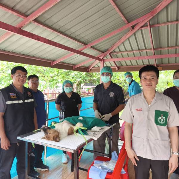 หน่วยแพทย์เคลื่อนที่ พอ.สว. และโครงการหน่วยบำบัดทุกข์ บำรุงสุข สร้างรอยยิ้มให้ประชาชน จังหวัดกำแพงเพชร (จังหวัดเคลื่อนที่)