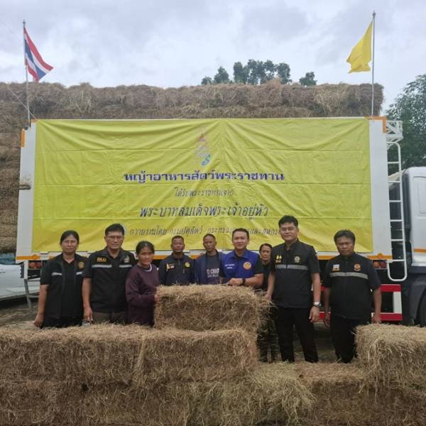 มอบหญ้าอาหารสัตว์พระราชทานช่วยเหลือเกษตรกรผู้เลี้ยงสัตว์ที่ประสบอุทกภัย อำเภอหนองขาหย่าง จังหวัดอุทัยธานี