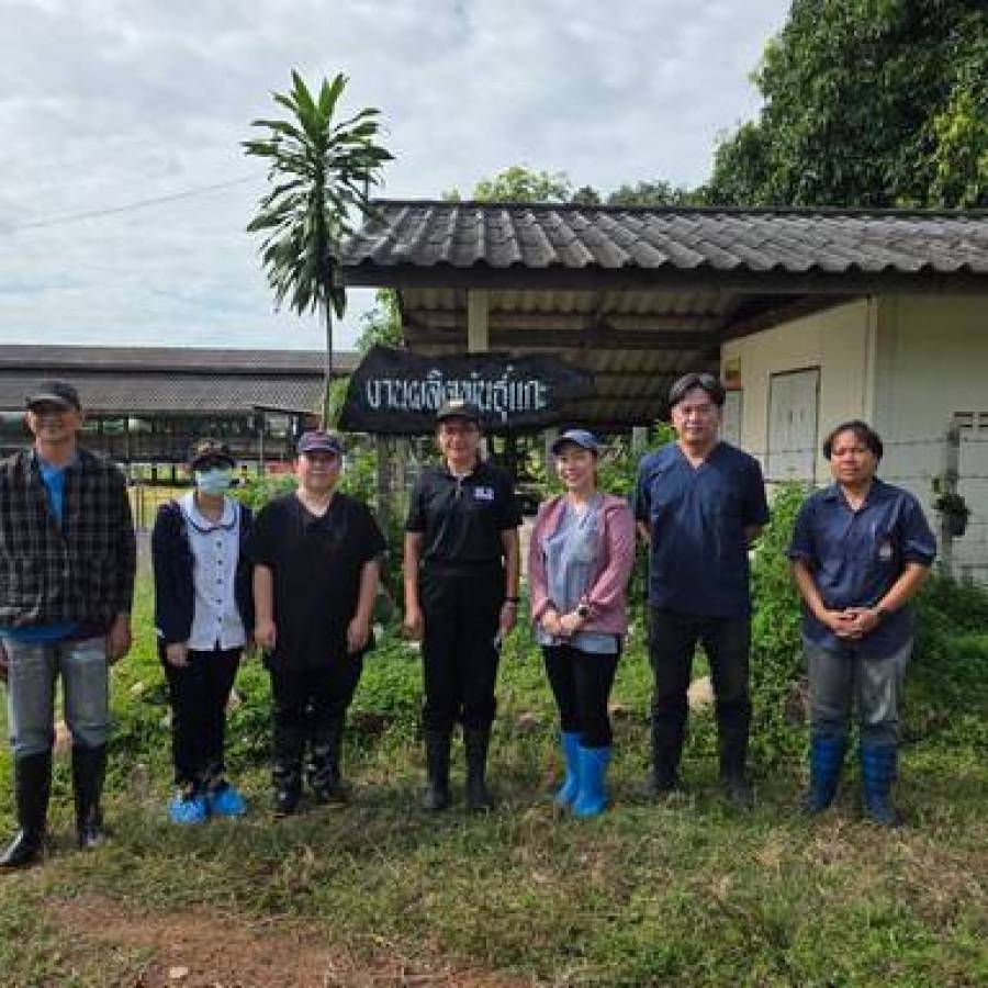 ร่วมดำเนินกิจกรรมด้านสุขภาพสัตว์ในฝูงแกะเนื้อตามแผนการปฏิบัติงาน ประจำปีงบประมาณ 2570