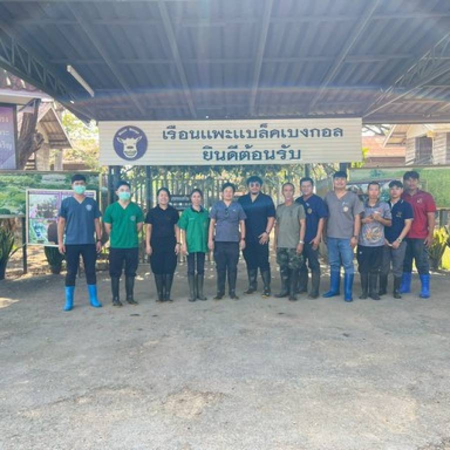ตรวจสุขภาพและถ่ายพยาธิแพะ โครงการผลิตแพะพระราชทานฯ จังหวัดพิษณุโลก