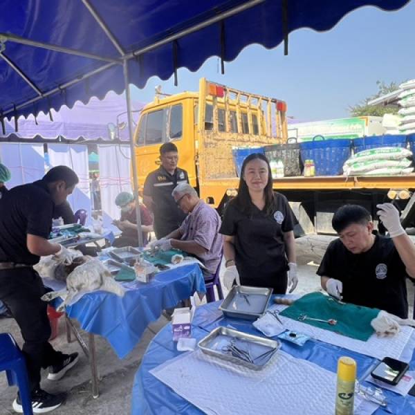 โครงการ 