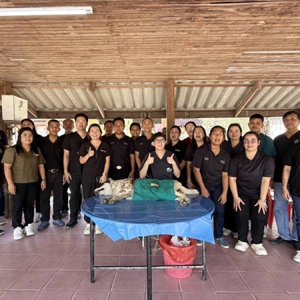 โครงการ 