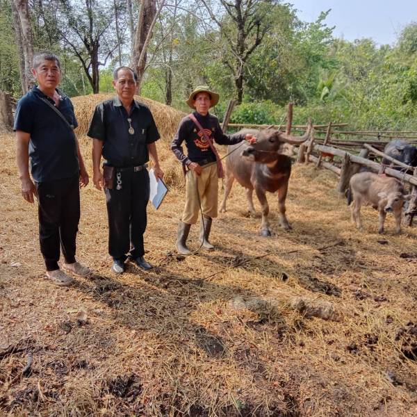 สำนักงานปศุสัตว์อำเภอน้ำปาด