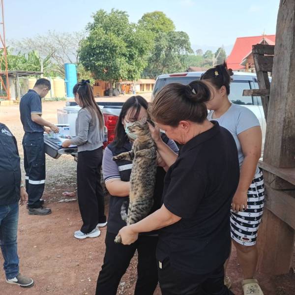  สำนักงานปศุสัตว์อำเภอน้ำปาด