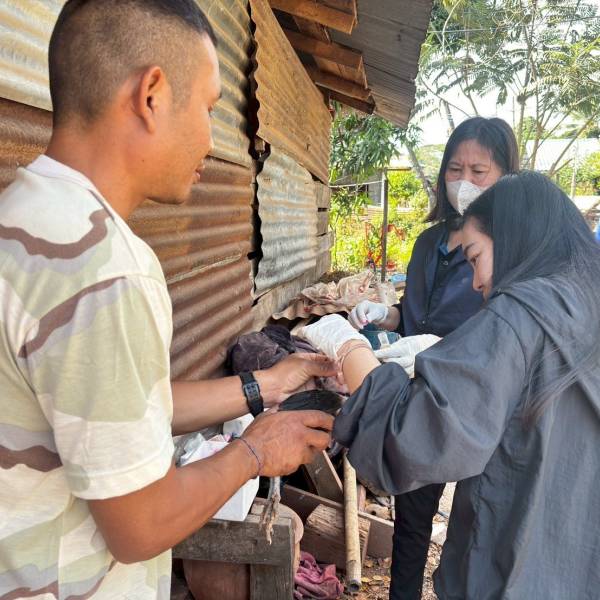 สำนักงานปศุสัตว์อำเภอฟากท่า