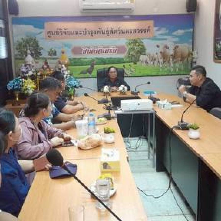 ดำเนินการควบคุมโรคในโคเนื้อที่ให้ผลบวกต่อโรคบรูเซลลา (โรคแท้งติดต่อ)