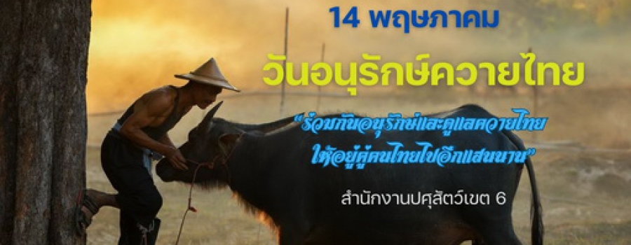 วันอนุรักษ์ความไทย